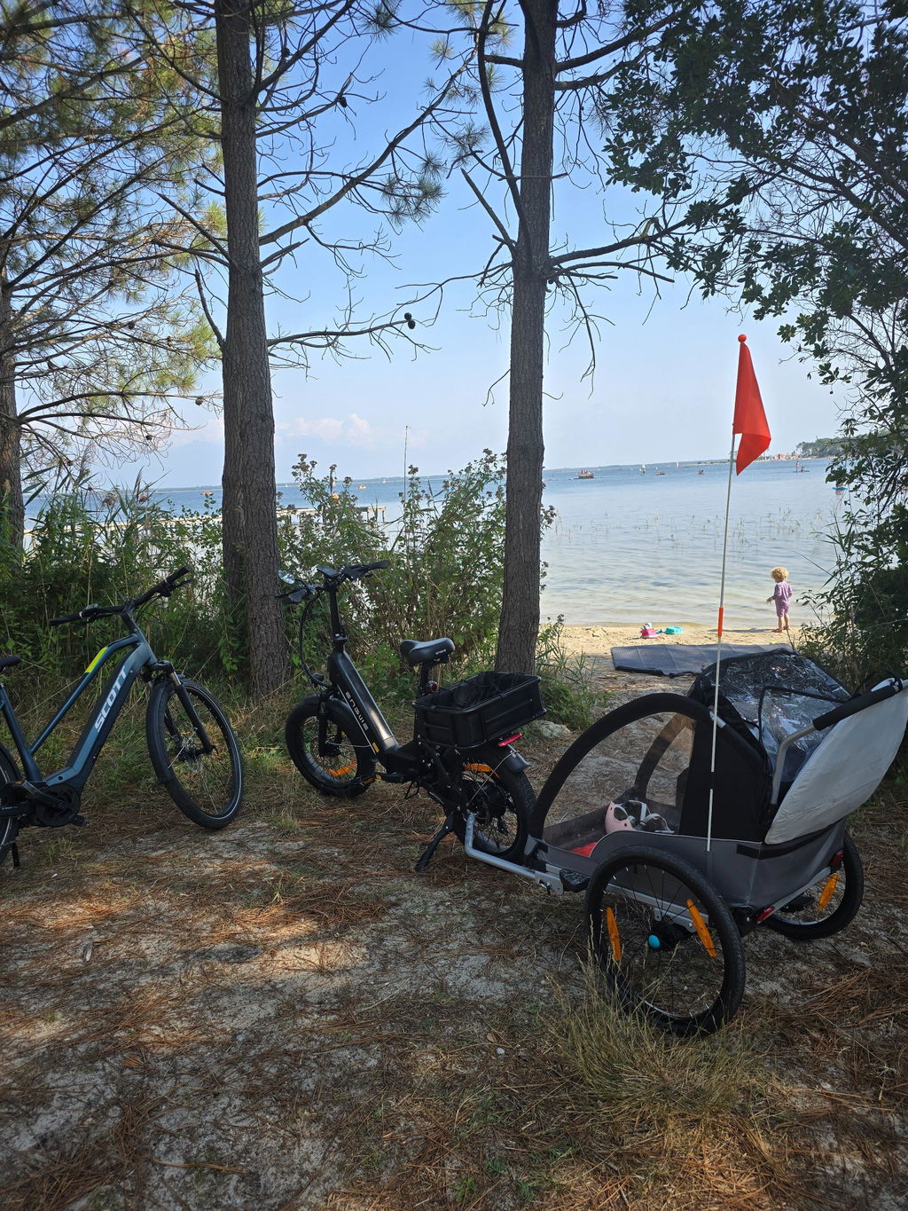 ENGWE L20 3.0 Boost bicicletă electrică pliabilă negru