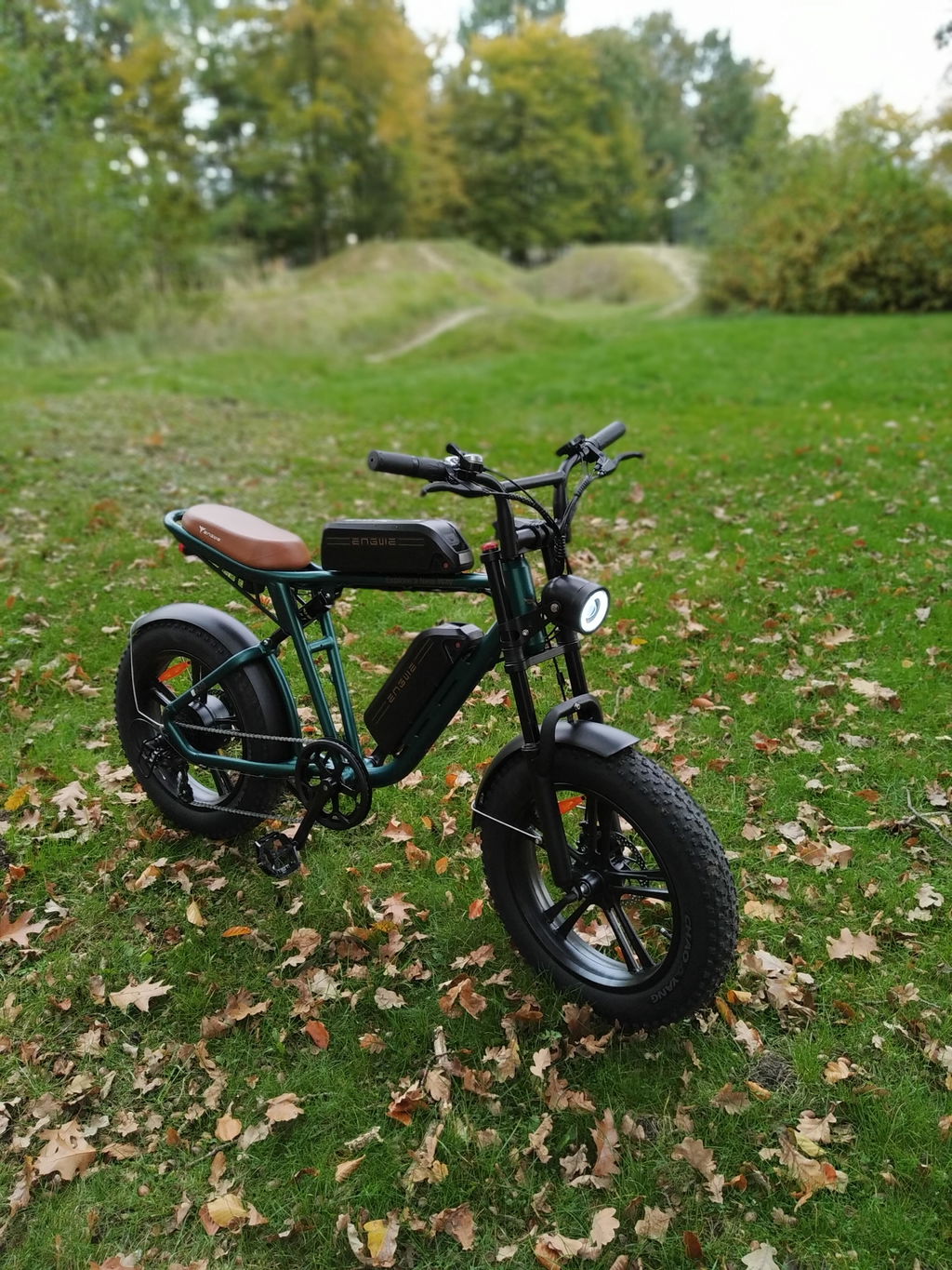 ENGWE M20 bicicleta electrica negru baterie dubla 150 km