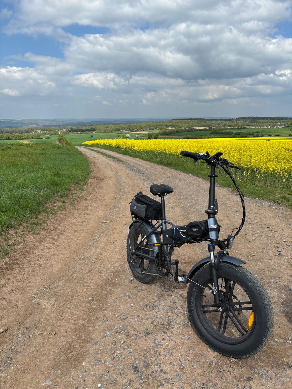 ENGWE EP-2 Pro bicicleta electrica pliabila negru 120 km