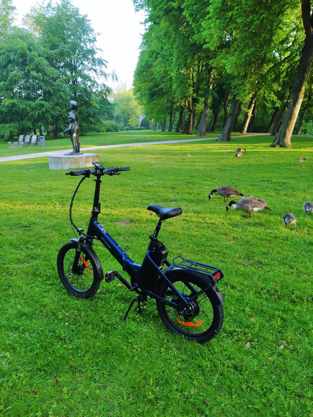 ENGWE O20 Boost bicicletă electrică pliabilă gri grafit
