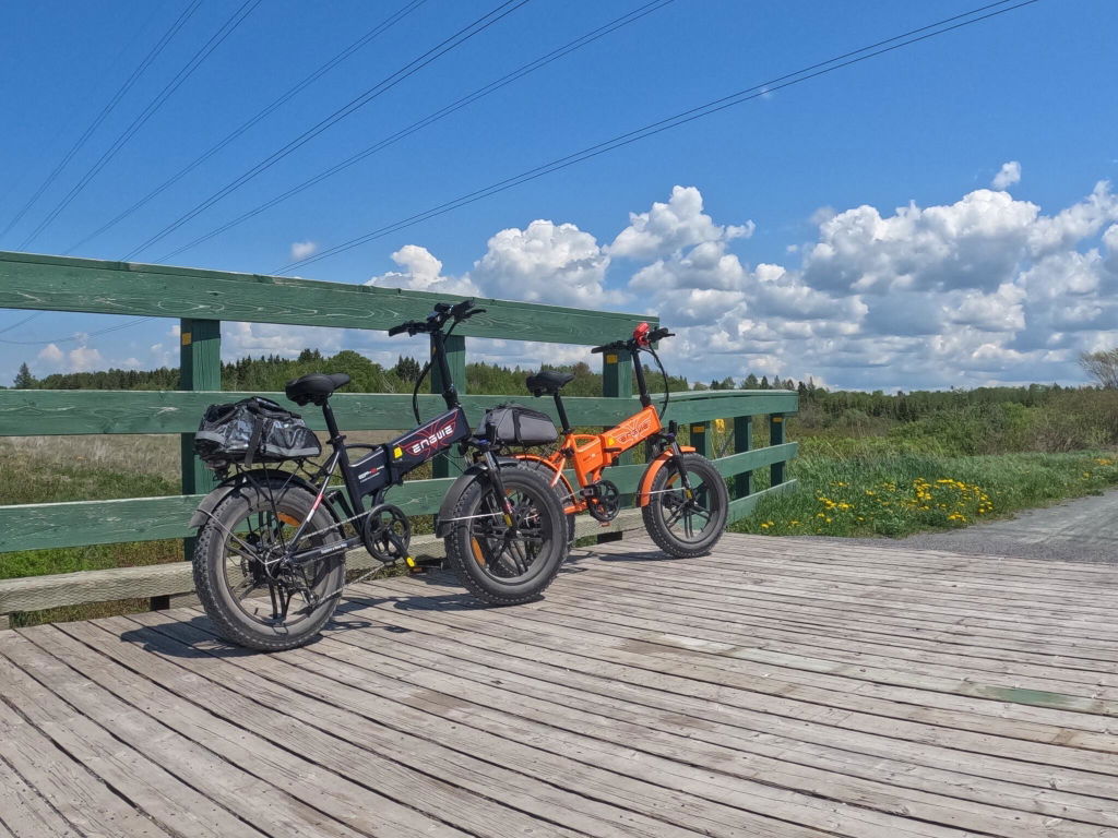ENGWE EP-2 Boost bicicleta electrica negru senzor cuplu