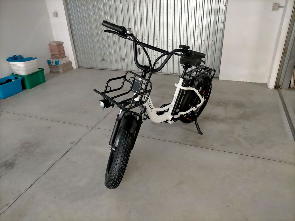 ENGWE L20 bicicletă electrică verde 48V 13Ah