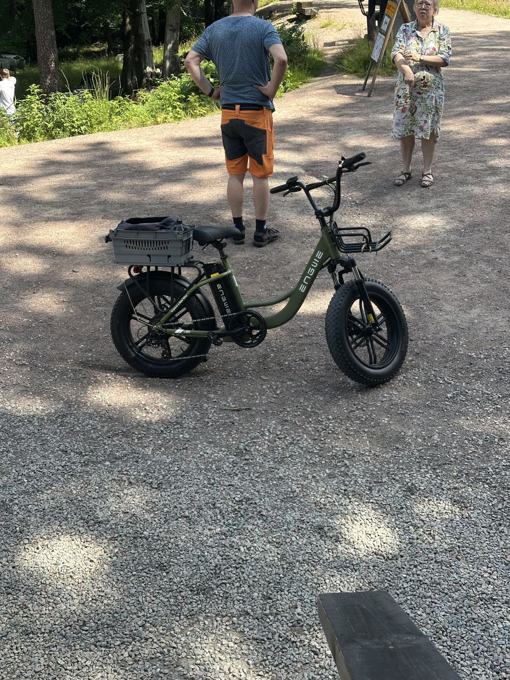 ENGWE L20 bicicletă electrică verde 48V 13Ah