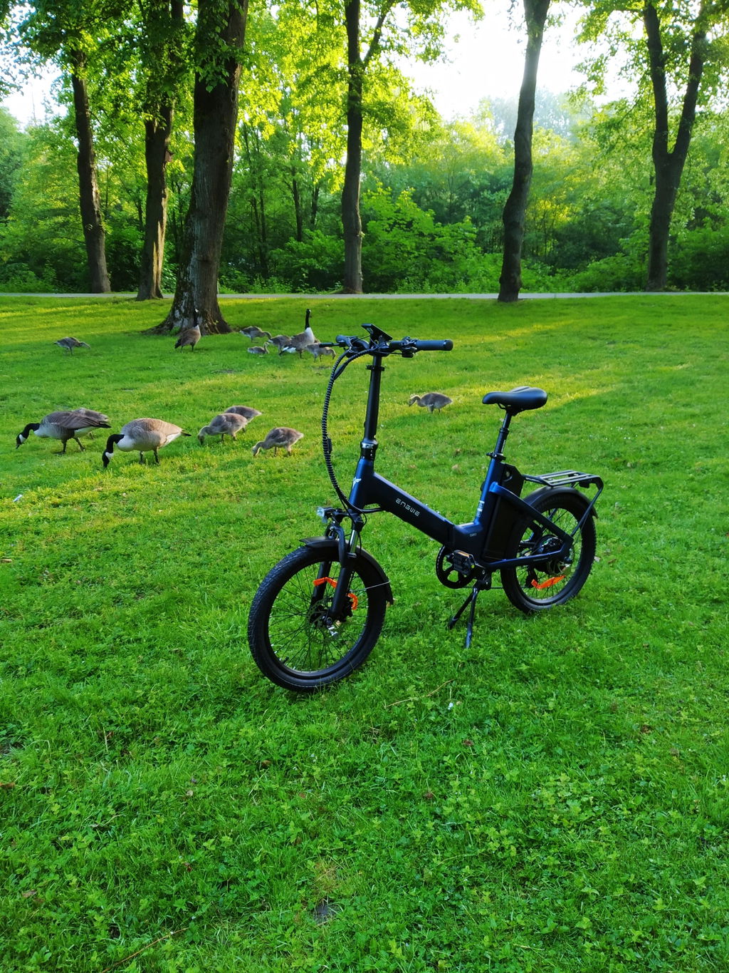 ENGWE O20 Boost bicicletă electrică pliabilă gri grafit