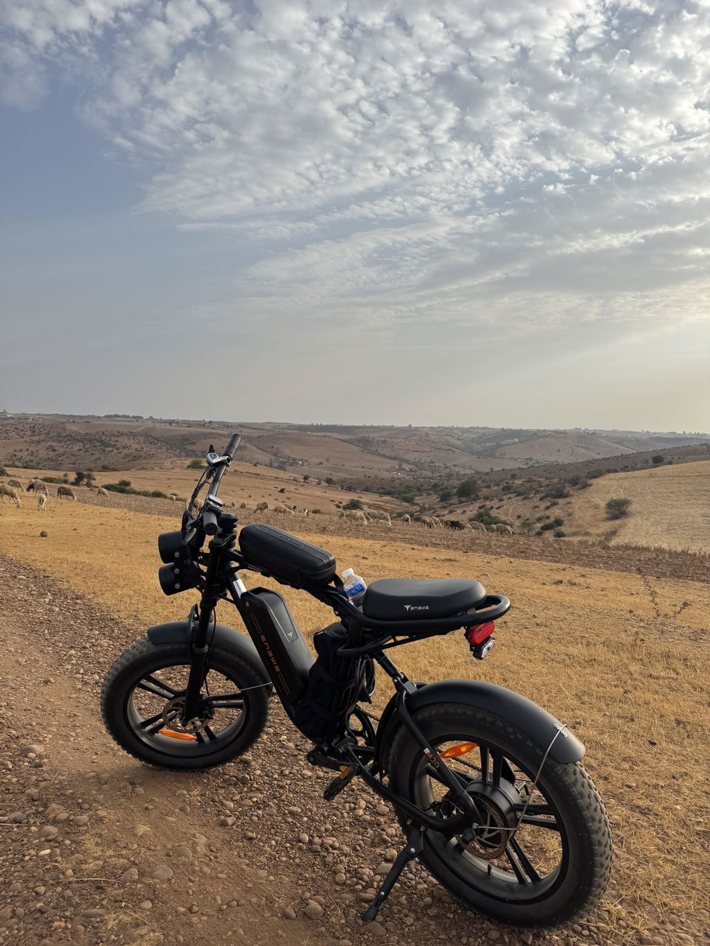ENGWE M20 bicicleta electrica negru baterie dubla 150 km