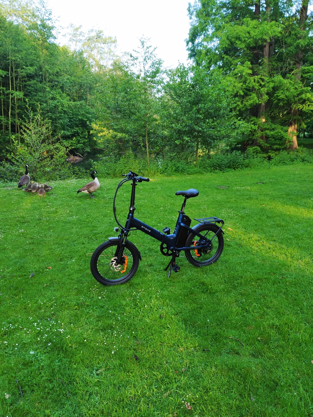 ENGWE O20 Boost bicicletă electrică pliabilă gri grafit