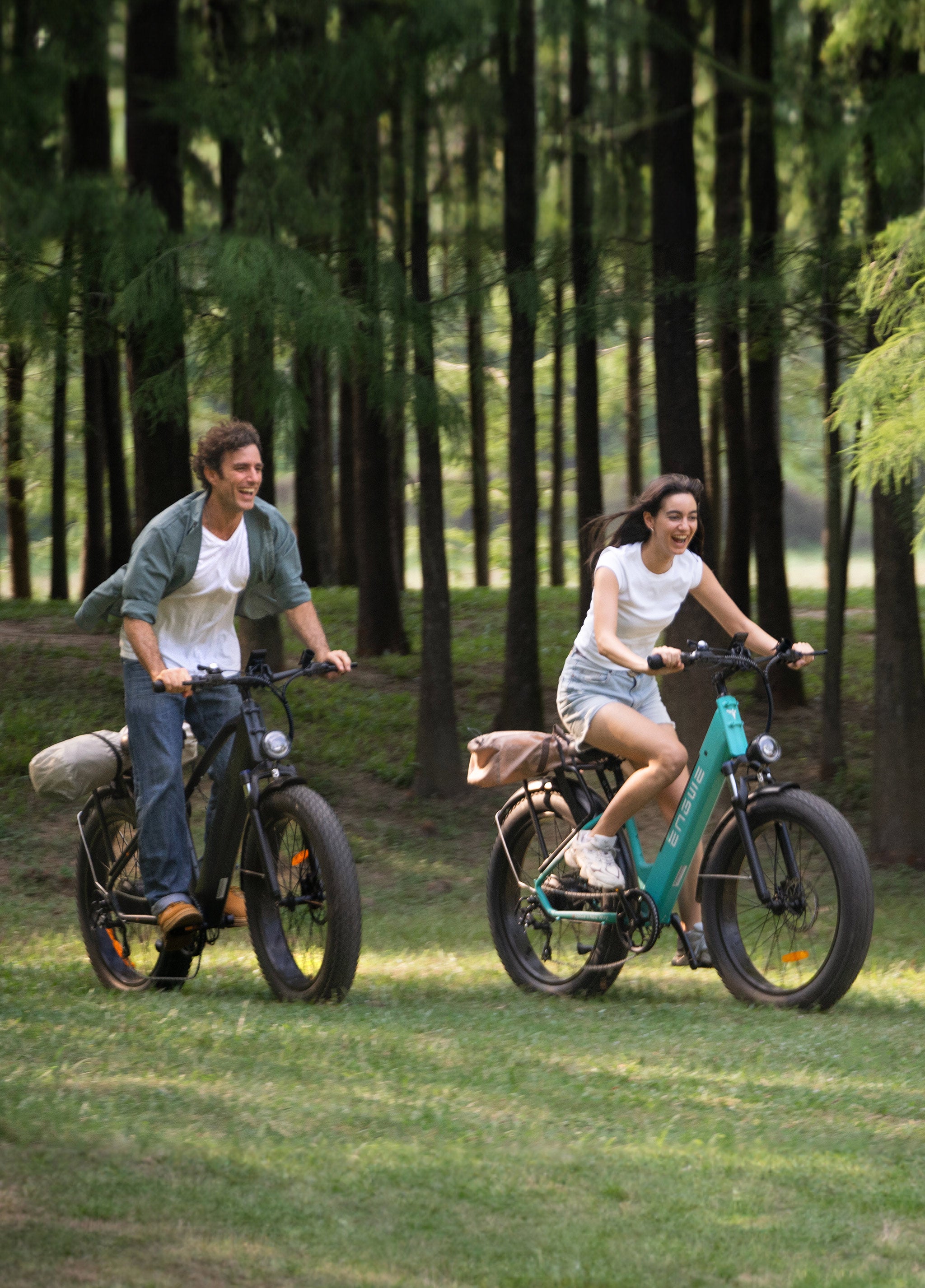 ENGWE E26 bicicletă electrică step-through gri 140km